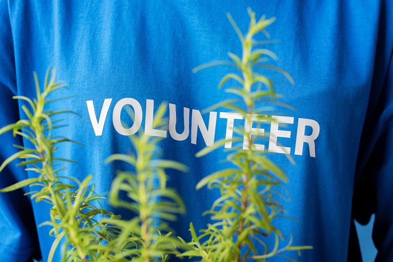Close-up of a volunteer wearing a blue shirt with plants, focusing on community and ecology.